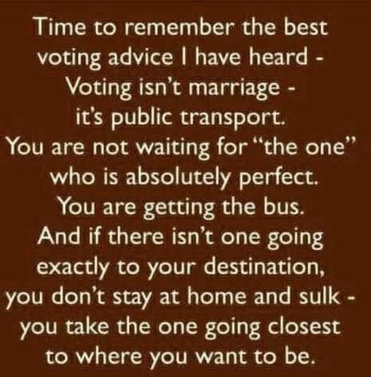Voting is like transit